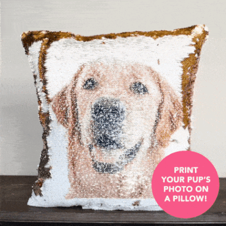 PupPillow: Print Your Pup's photo on pillow reversible SEQUINS! BONUS: Includes Hypoallergenic Pillow Insert!